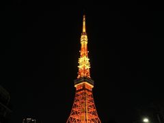 -六本木新城展望台(东京城市景观)