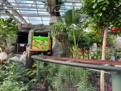 -南宫五洲植物乐园