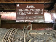 -海南槟榔谷黎苗文化旅游区