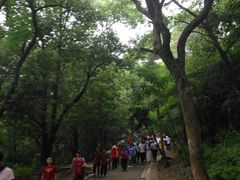-灵岩山风景区