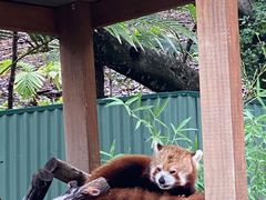 -可伦宾野生动物保护区