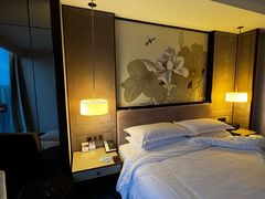 -上海嘉定喜来登酒店