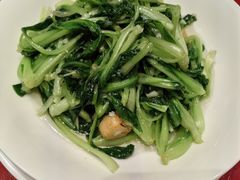 鸡毛菜-荣粤酒家·融合粤菜·海鲜火锅