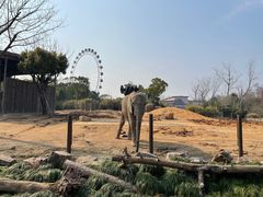-上海野生动物园