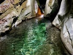 -黑河国家森林公园