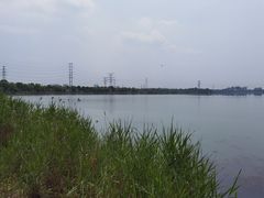 -漕湖湿地公园