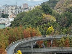 -福道
