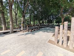 -回龙观体育文化公园