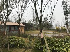 -黄龙溪欢乐田园