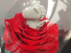 -ROSEONLY诺誓(沈阳万象城店)