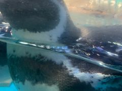 -海合安武汉极地海洋公园