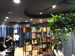 点击看大图 -藤野造型