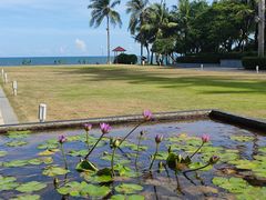 -三亚海棠湾万丽度假酒店