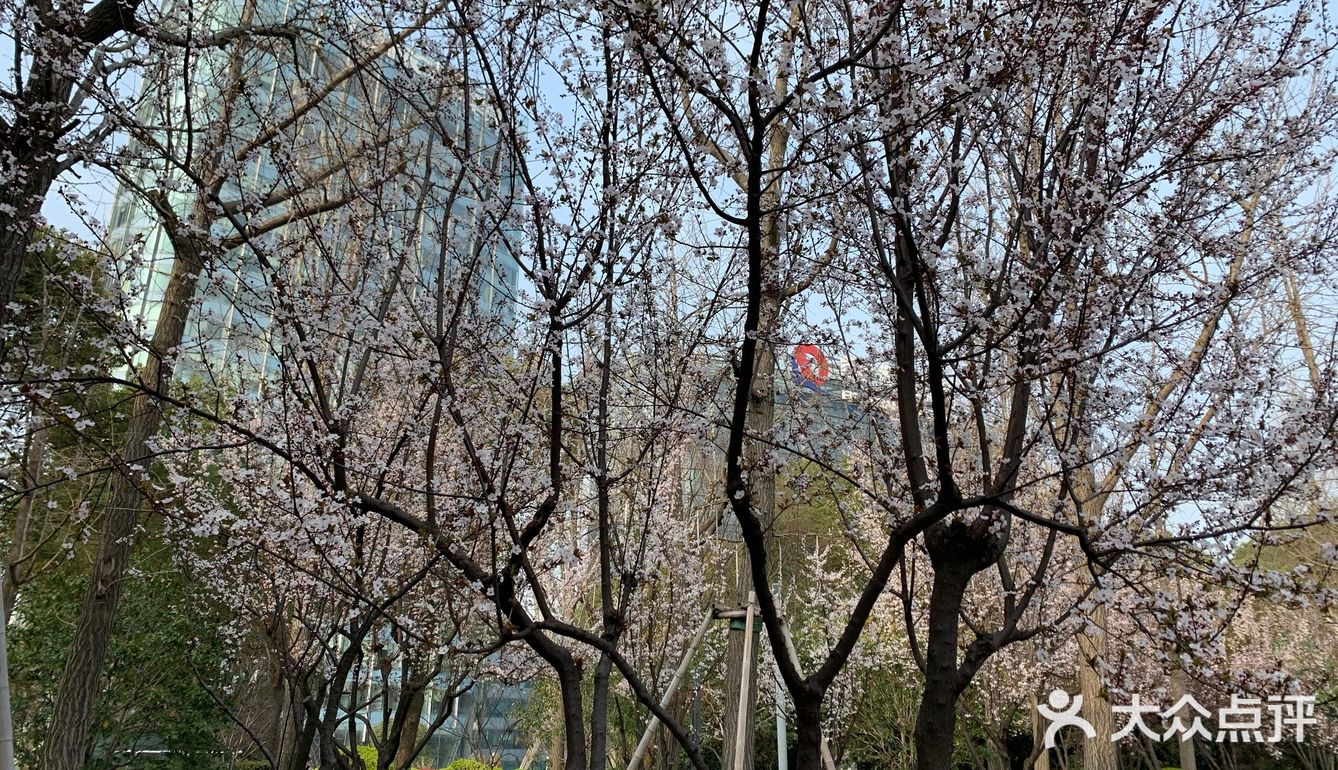百花齐放