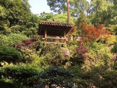 -南山植物园