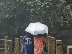 -鹿院坪生态旅游景区