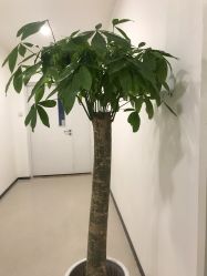 -丰联丽格医疗美容·联合丽格眼整形中心