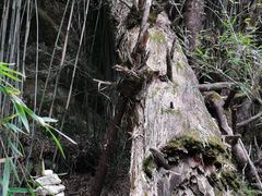 -卡定沟景区