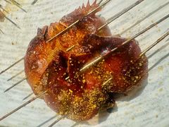 -小粉房鲽鱼头海鲜小串(燕郊总店)