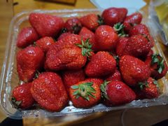 -CoCo都可(曹路宝龙广场店)