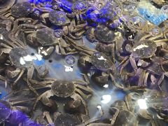 -澜悦港海鲜体验主题餐厅