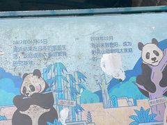 -黔灵山公园