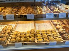 -九芝斋(解放路店)