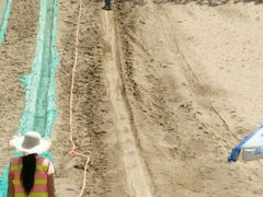 -古柏渡飞黄旅游区