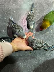 -酷嗒动物文化乐园(cutezoo西溪乐天城店)