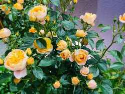 点击看大图 -花隐·美芙炫海菲秀皮肤管理中心