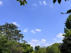 -桃花岛景观公园