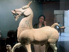 -广西壮族自治区博物馆