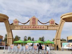 -金塔沙漠胡杨林景区