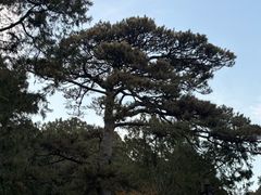 -香山公园