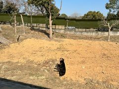 -上海野生动物园