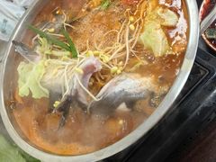 苗王酸汤鱼-苗侗地道红酸.酸汤鱼·酸汤牛肉