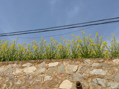 -新安江山水画廊风景区