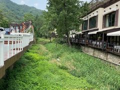 -Local泰莲庭(虹鳟鱼店)