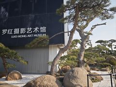 -罗红摄影艺术馆