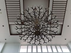 -北京麋鹿生态实验中心