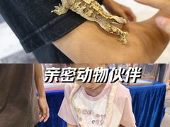 -南宁国际会展中心