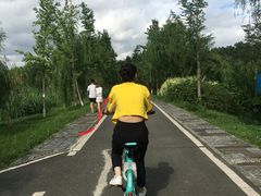 -白鹭湾湿地公园