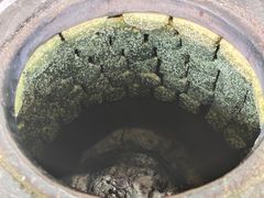 海苔味蒋氏千层饼-奉化市溪口蒋氏千层饼厂