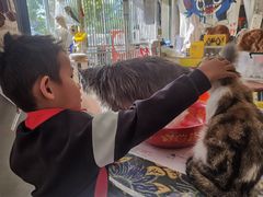 -平行世界·猫咖(首经贸店)