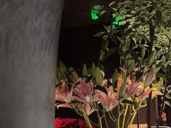 -Love Story爱情故事·养生SPA会所(体育店)