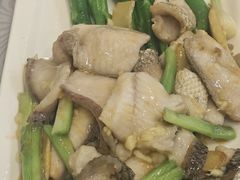葱姜炒生鱼片-粤·向群饭店(龙津东路总店)