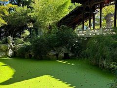 -陈记菜馆·非遗淮扬菜(东关街教场店)