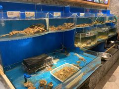 -福来齐·鲁菜海鲜·渔家菜(朝阳街分店)