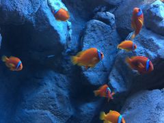 -成都浩海立方海洋公园