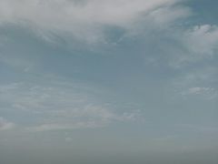 -宾朋海鲜美食特色餐厅·纯手工鲅鱼水饺(兴海路店)